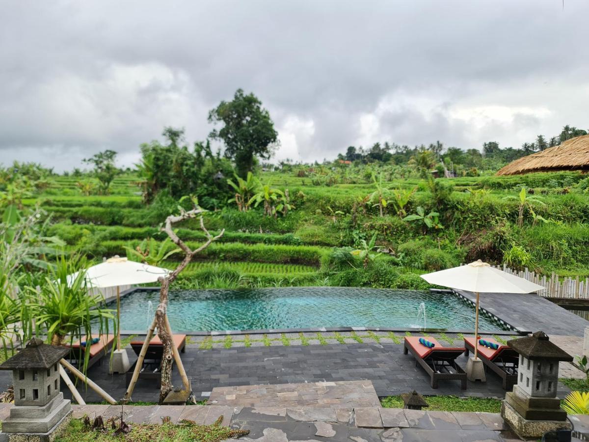 Alamgangga Villas Tirta Gangga การางาเซ็ม ภายนอก รูปภาพ